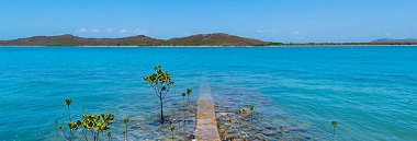 North Queensland Removalists